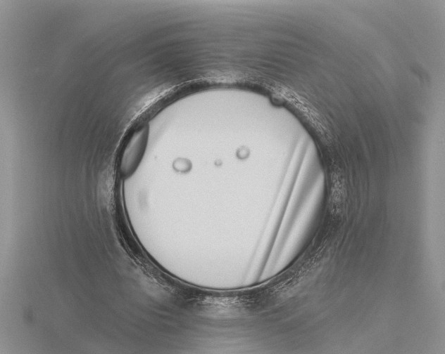 X0000115670440200912101116