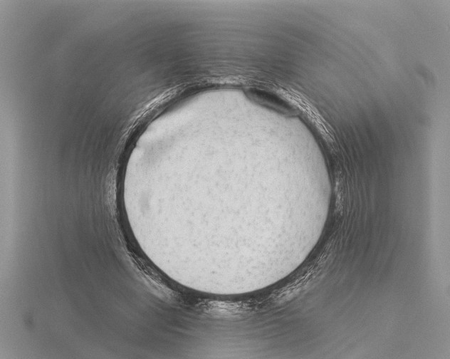 X0000115670442200912101116