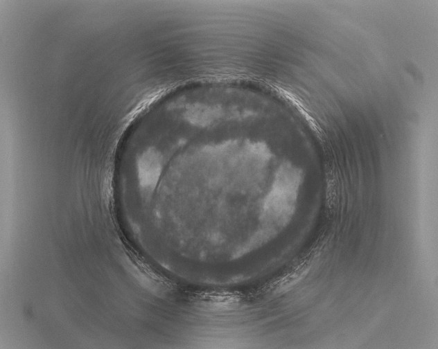 X0000115670443200912101116