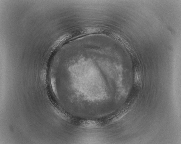 X0000115670444200912101116