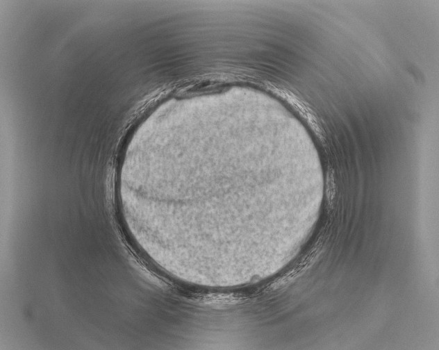 X0000115670445200912101116