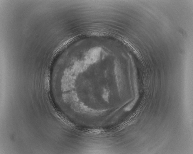 X0000115670446200912101116