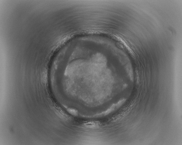 X0000115670447200912101116