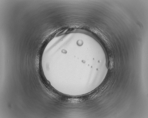 X0000115670448200912101116