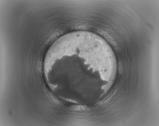 X0000115670449200912101116