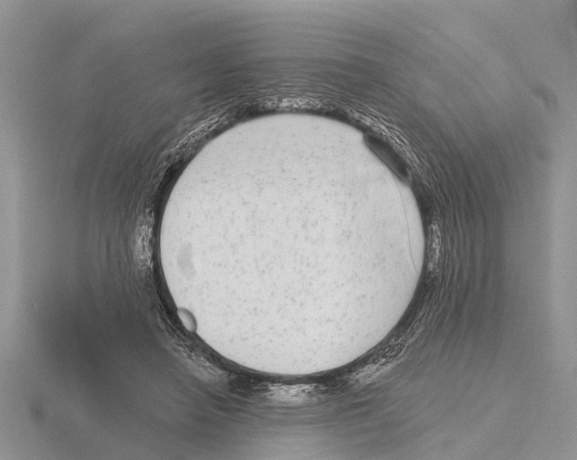 X0000115670450200912101116