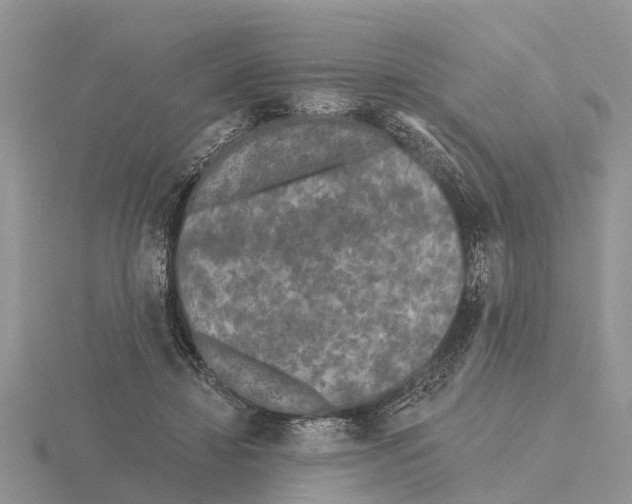 X0000115670452200912101116