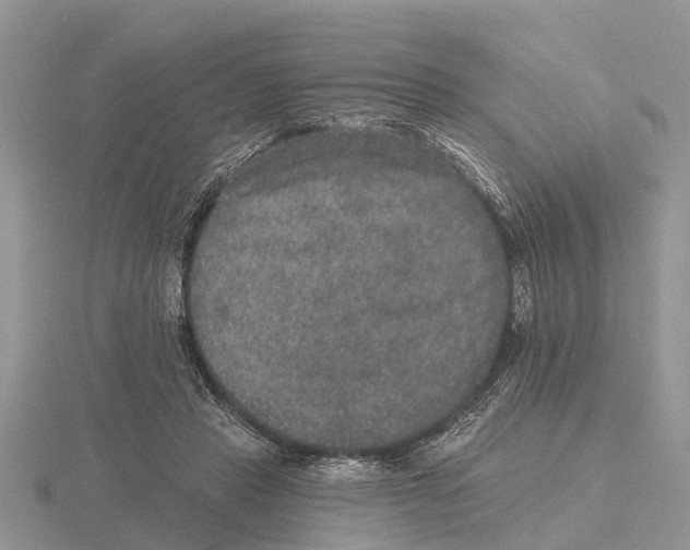 X0000115670453200912101116