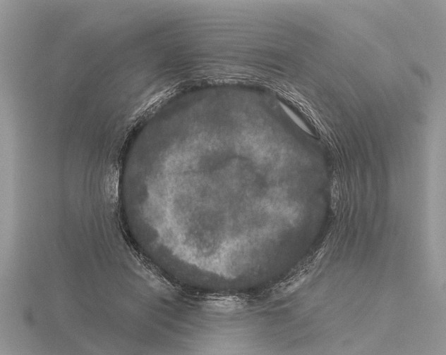 X0000115670454200912101116