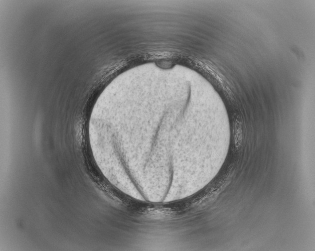 X0000115670455200912101116