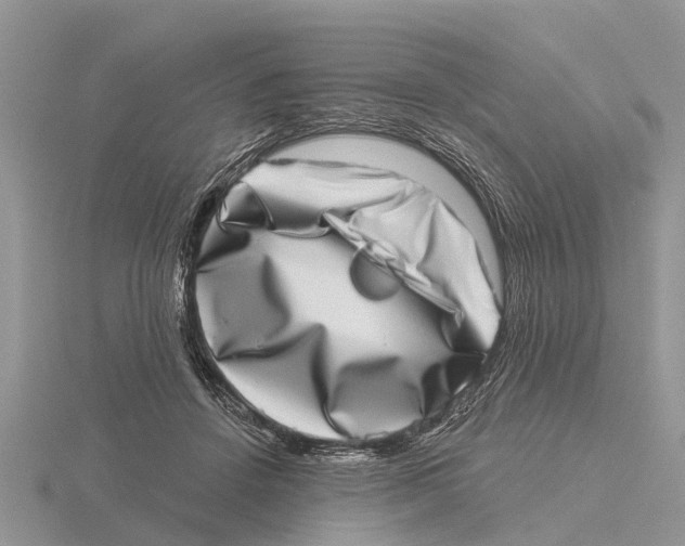 X0000115670456200912101116