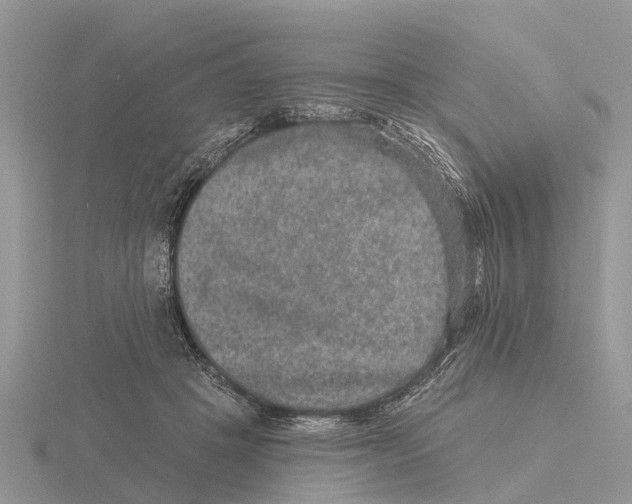 X0000115670457200912101116