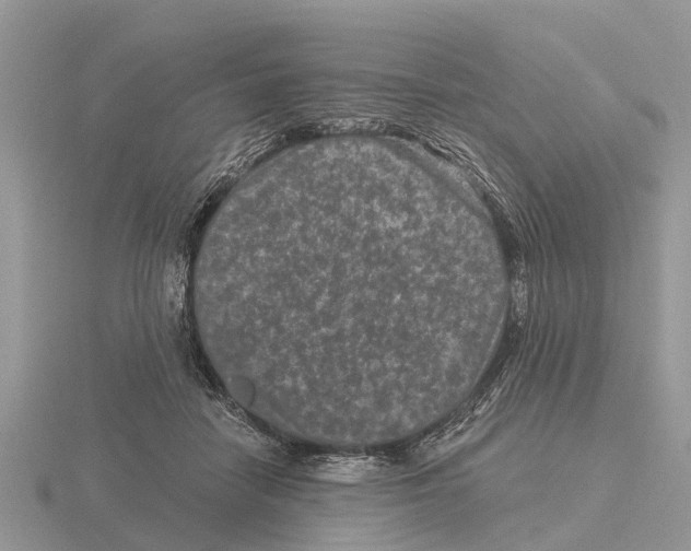 X0000115670458200912101116