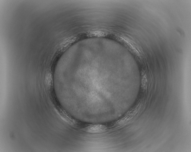 X0000115670459200912101116