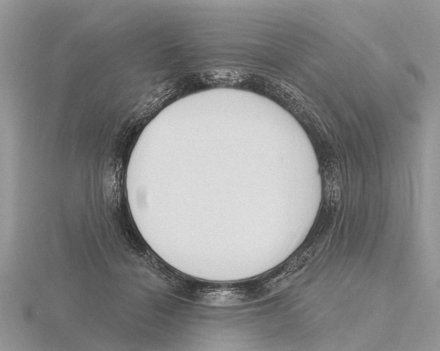 X0000115670460200912101116