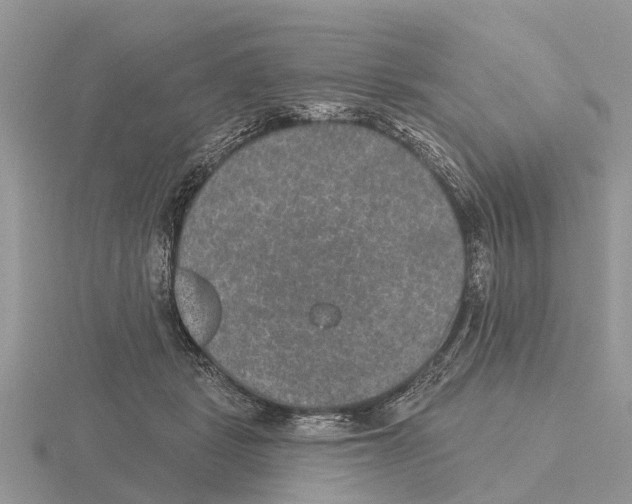 X0000115670461200912101116