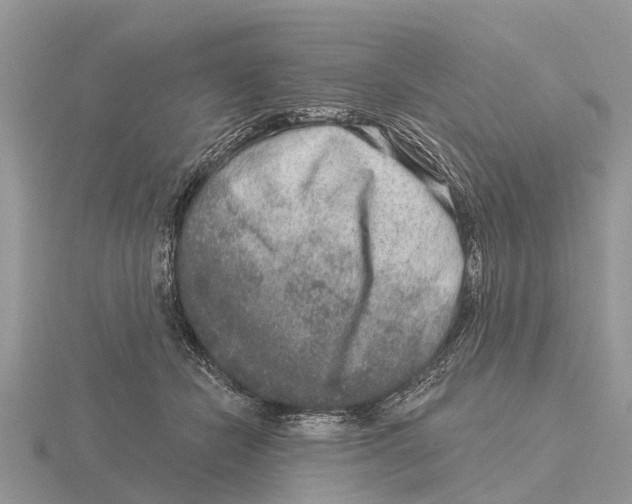 X0000115670462200912101116