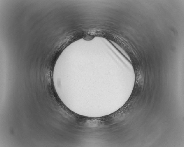 X0000115670470200912101116