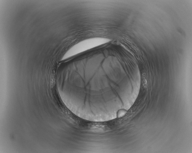 X0000115670471200912101116