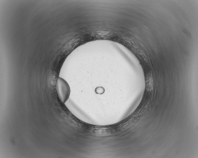 X0000115670472200912101116