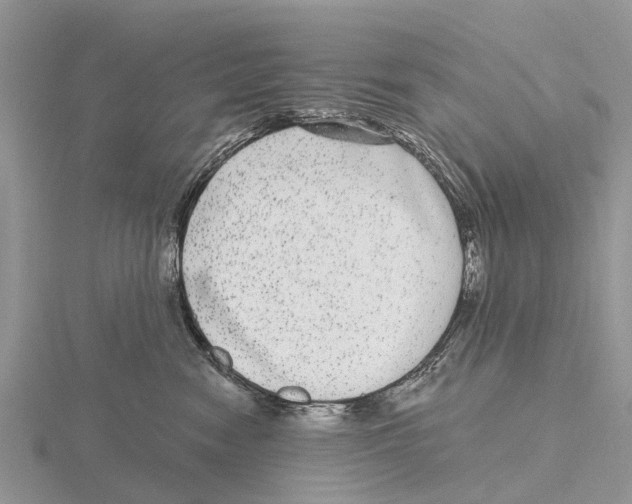 X0000115670474200912101116