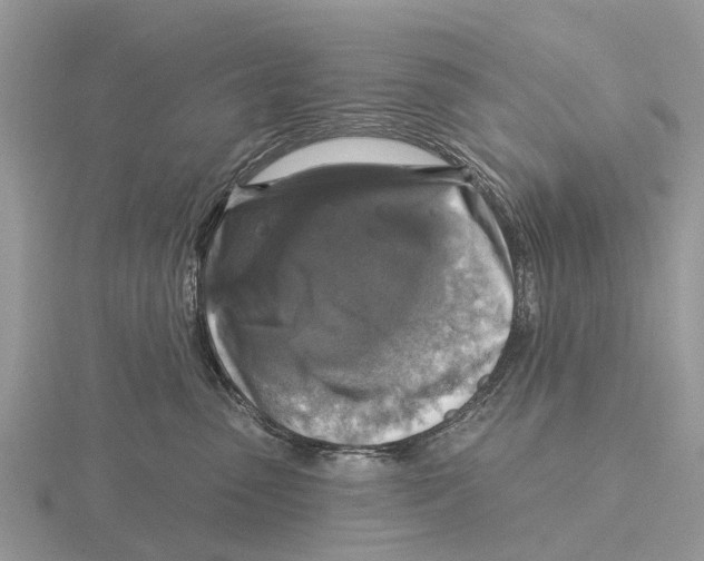 X0000115670475200912101116