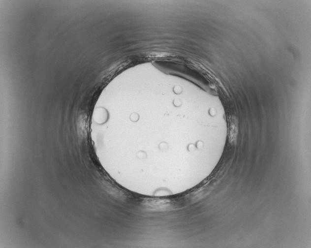 X0000115670476200912101116