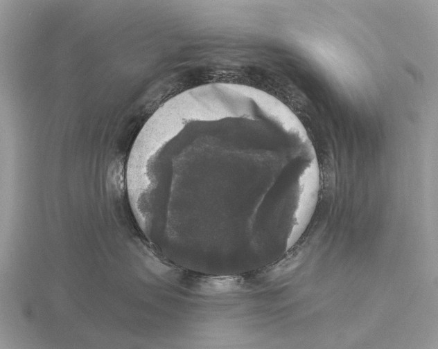 X0000115670479200912101116