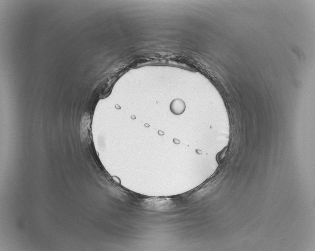 X0000115670480200912101116