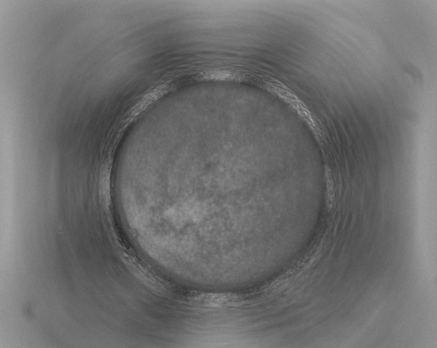 X0000115670482200912101116