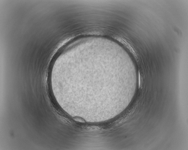 X0000115670483200912101115