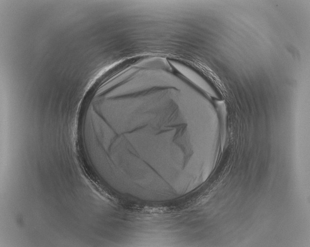 X0000115670484200912101115