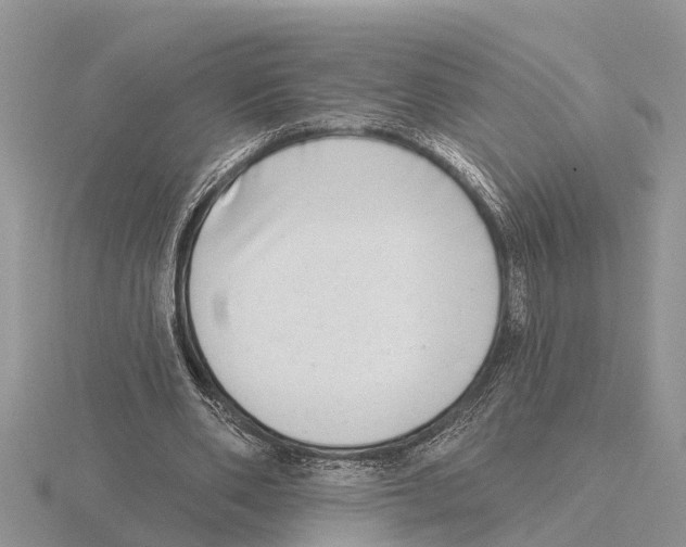 X0000115670486200912101115