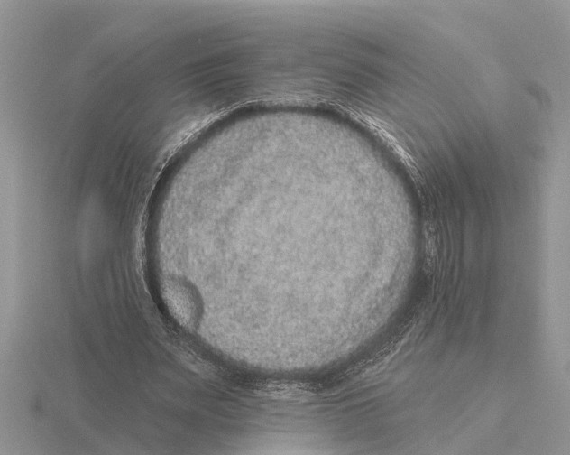 X0000115670487200912101115