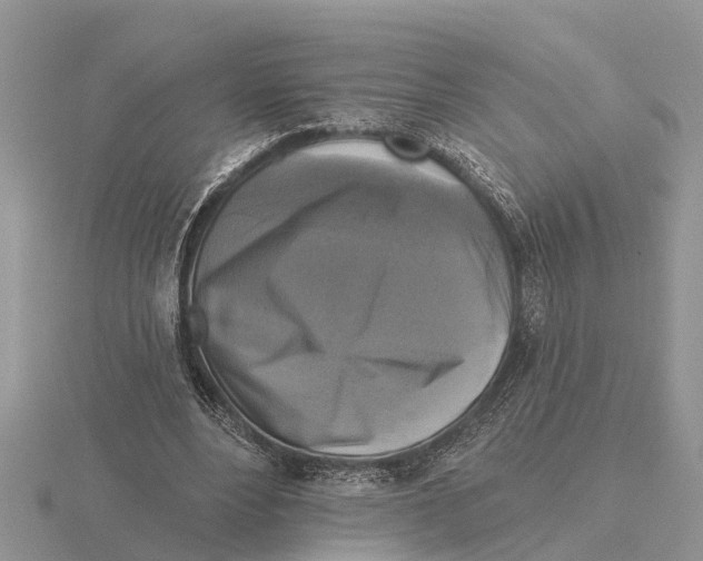 X0000115670488200912101115