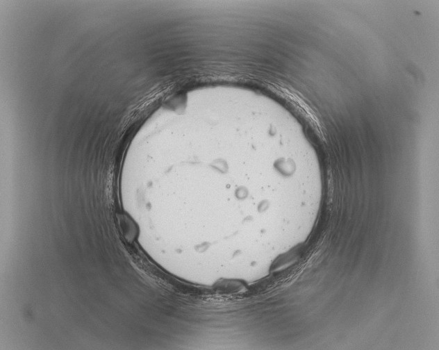 X0000115670489200912101115