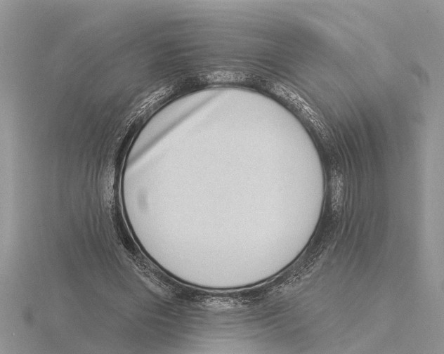 X0000115670490200912101115