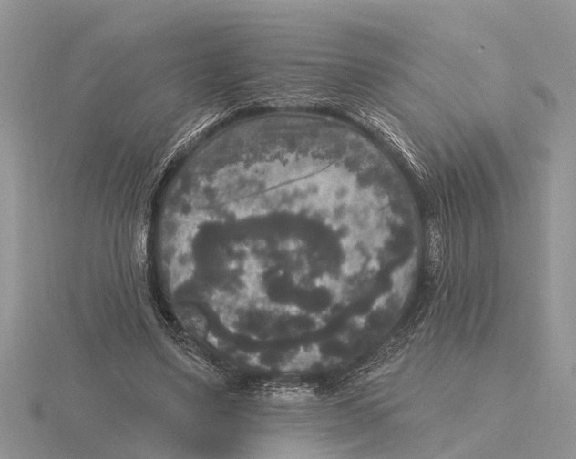 X0000115670491200912101115