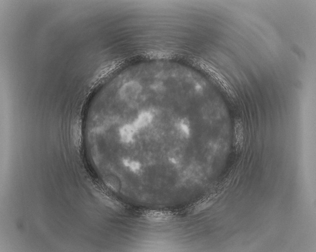 X0000115670494200912101115