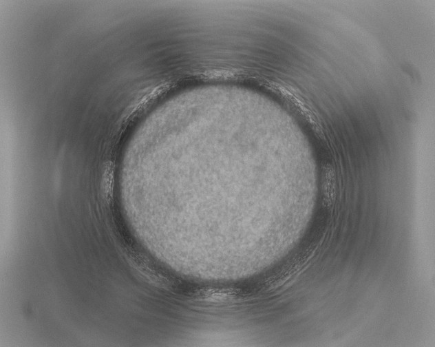 X0000115670495200912101115