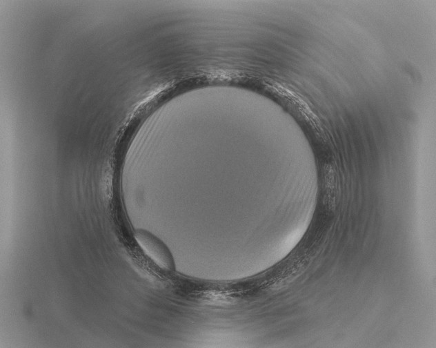 X0000115670496200912101115