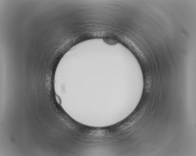 X0000115670497200912101115