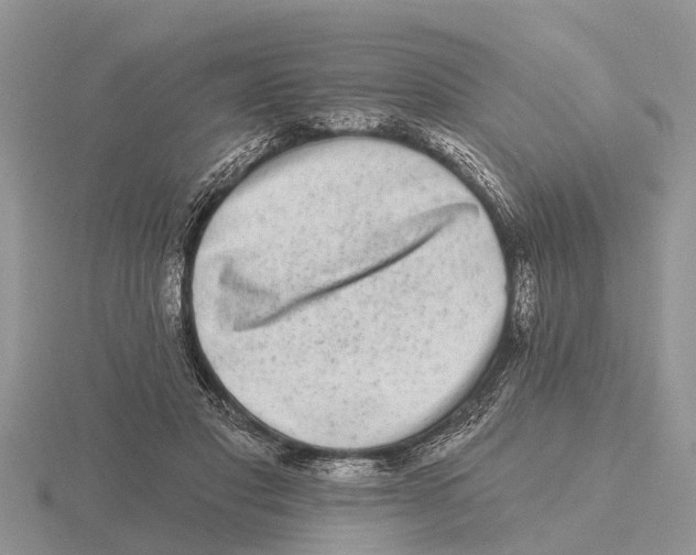 X0000115670501200912101115