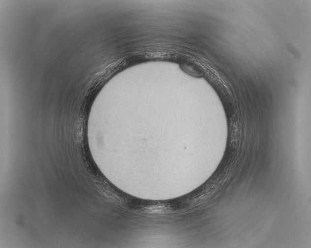 X0000115670505200912101115