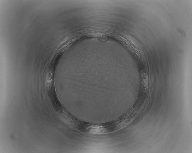 X0000115670507200912101115