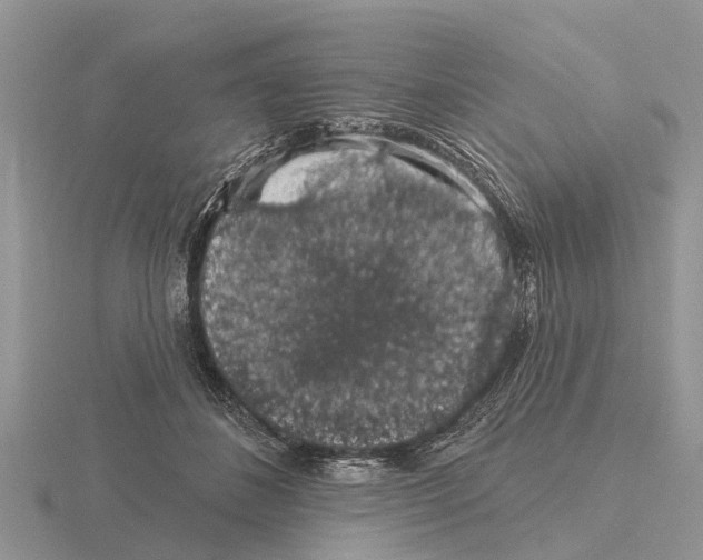 X0000115670508200912101115