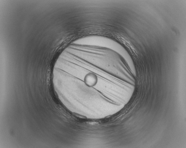 X0000115670509200912101115