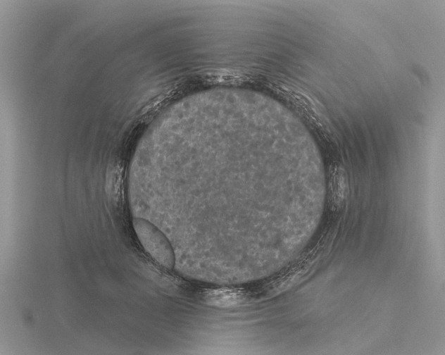 X0000115670511200912101115