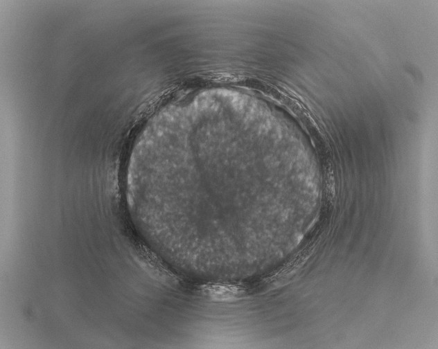 X0000115670512200912101115