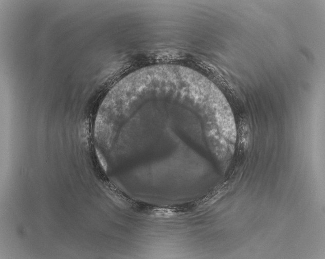 X0000115670519200912101115